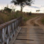 Bruecke_Nationalpark